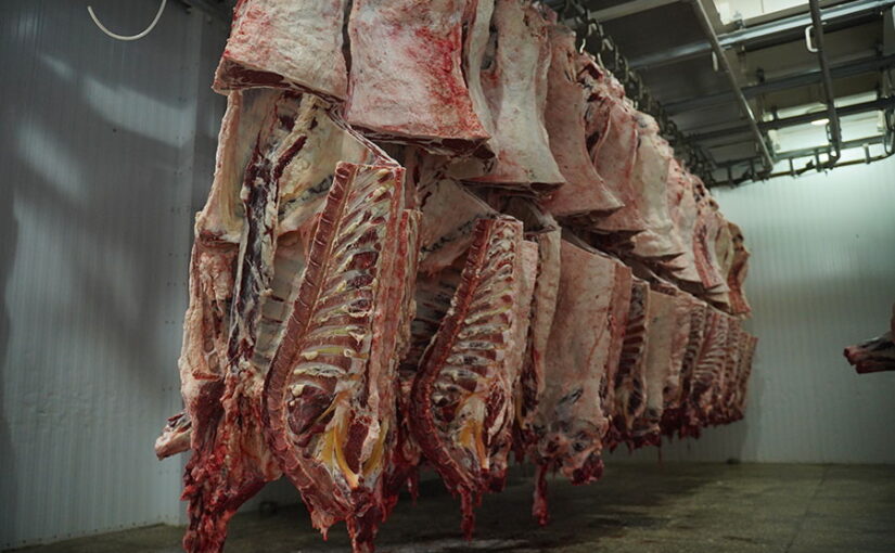 Запустить 24 мясокомбината планируют в Казахстане