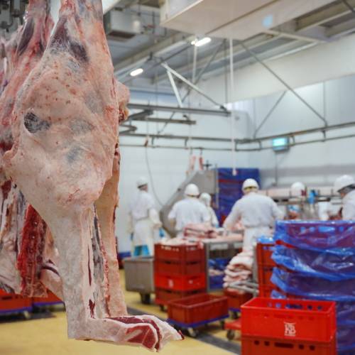 Казахстан рассчитывает возобновить экспорт мяса в Россию в мае