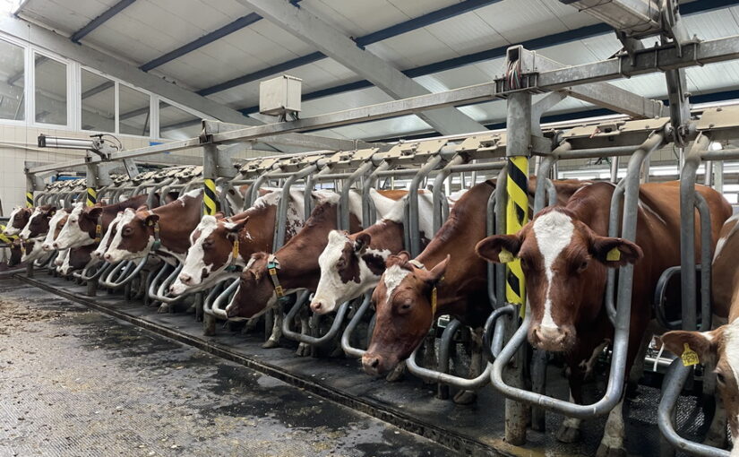 Westfalia Kazakhstan предлагает животноводам фермы под ключ