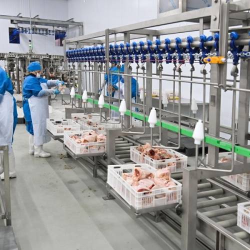 Алель Агро запустит переработку мяса птицы в Жамбылской области