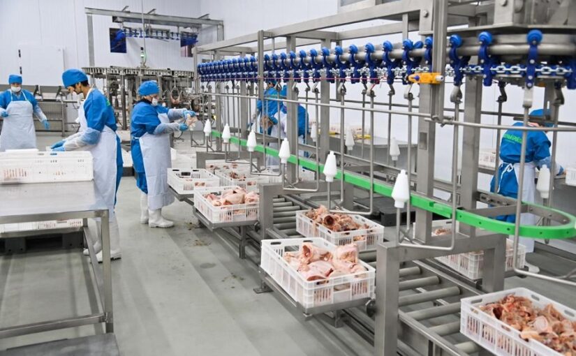Алель Агро запустит переработку мяса птицы в Жамбылской области