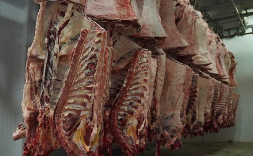 Возобновить ввоз казахстанского мяса в Россию призвал Сапаров