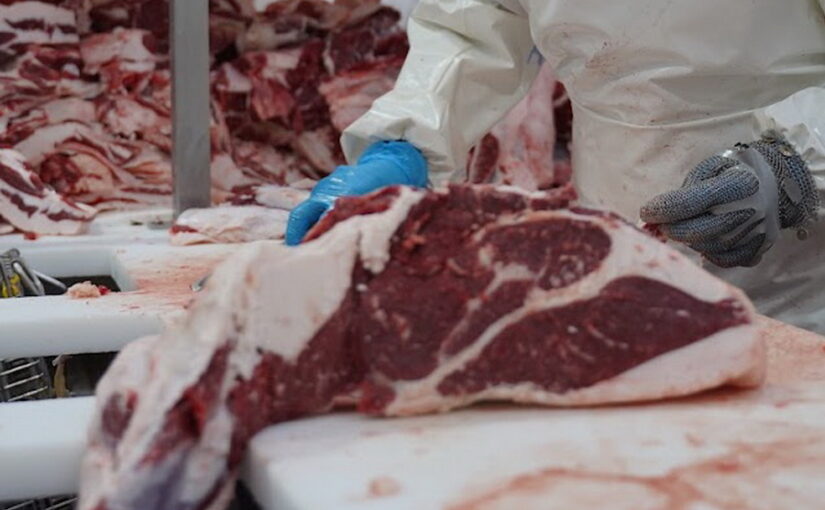 Мясоконсервный завод запустят в Абайской области в 2024 году