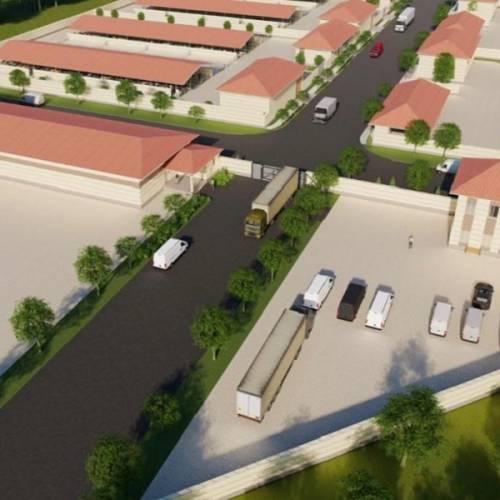 Кластер крупных откормплощадок создают в Туркестанской области