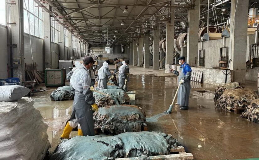 Переработку шкур возобновили в Западном Казахстане