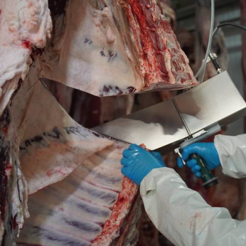 Казахстан экспортировал мясо на $194 млн