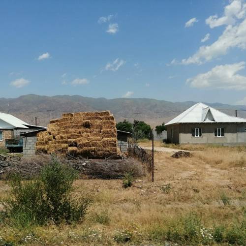 Фермеры смогут привлечь иностранных рабочих для строительных работ