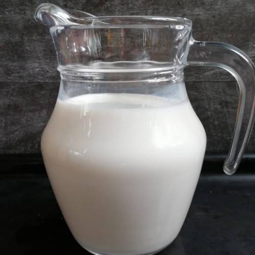 Глобальный лидер производства молока планирует запуск переработки в Казахстане