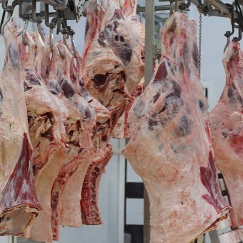 Новые мясокомбинаты на 50 тыс. тонн продукции строят в Казахстане