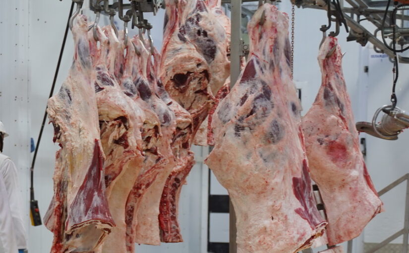 Новые мясокомбинаты на 50 тыс. тонн продукции строят в Казахстане