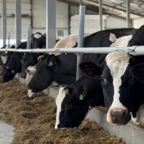 Нежинка-Ерке инвестировала 1,2 млрд тенге в расширение МТФ на севере Казахстана