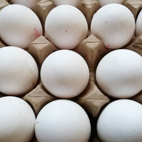 Запрет на импорт яиц введут в Казахстане