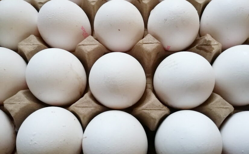 Запрет на импорт яиц введут в Казахстане