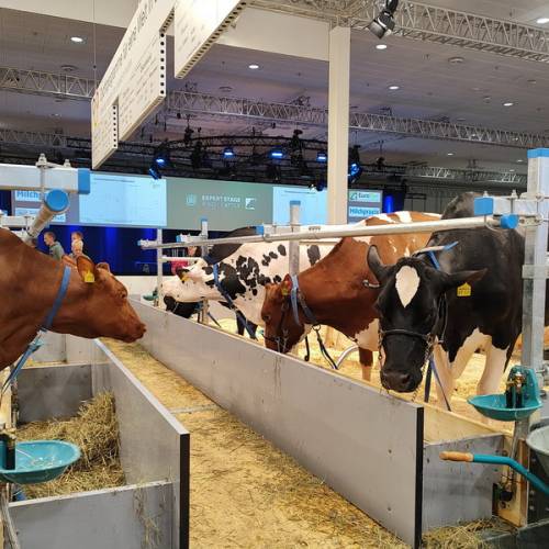 Открыта продажа билетов на выставку EuroTier 2026