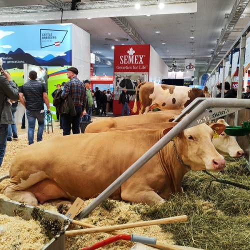 EuroTier 2026 привлекает большой международный интерес