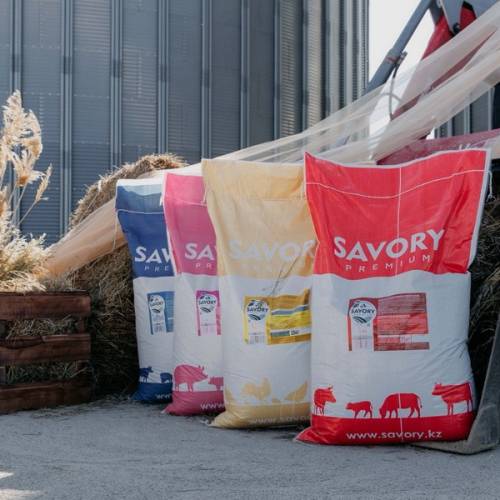 Сертификаты на приобретение кормов SAVORY получат победители конкурса быков