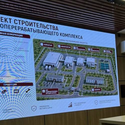 Мясной кластер за 48 млрд тенге планируют создать в Северном Казахстане