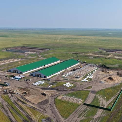 Пять молочно-товарных ферм запустят в Костанайской области