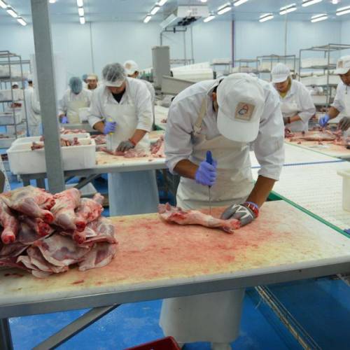 Кублей инвестирует $25 млн в новый мясной проект